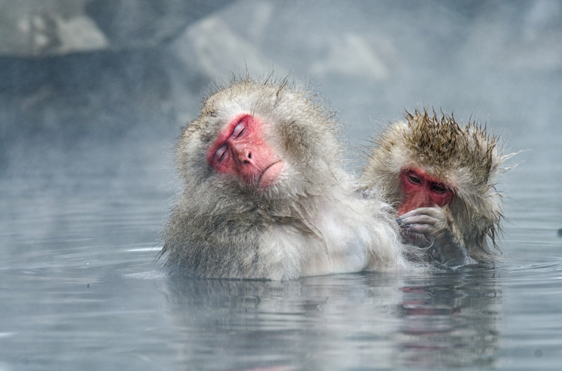 The therapeutic heat of a hot spring